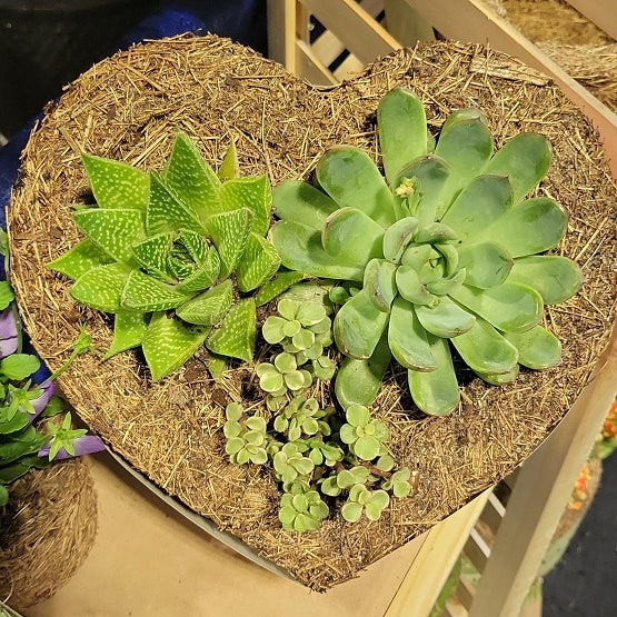 Award-Winning Recycled Palm Tree Fiber Pot, Receives National Recognition