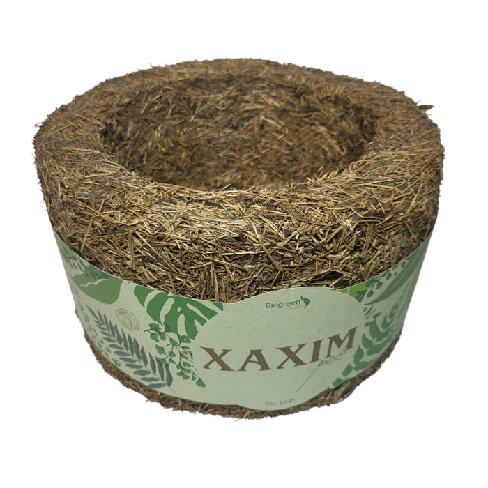 Xaxim Pot