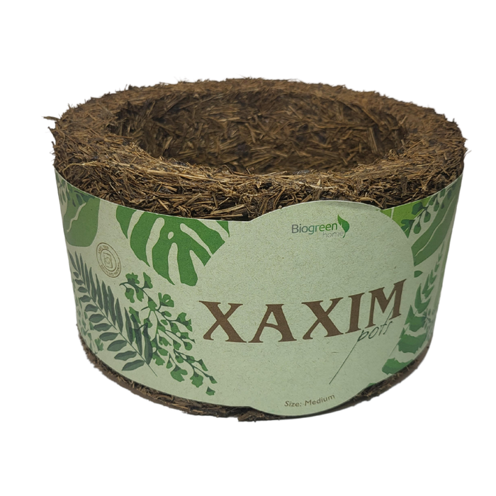 Xaxim Pot