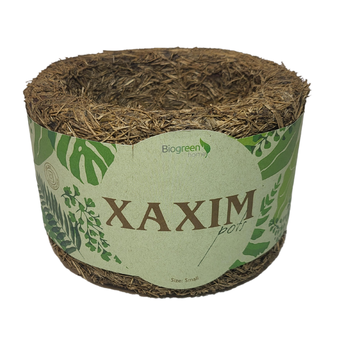 Xaxim Pot