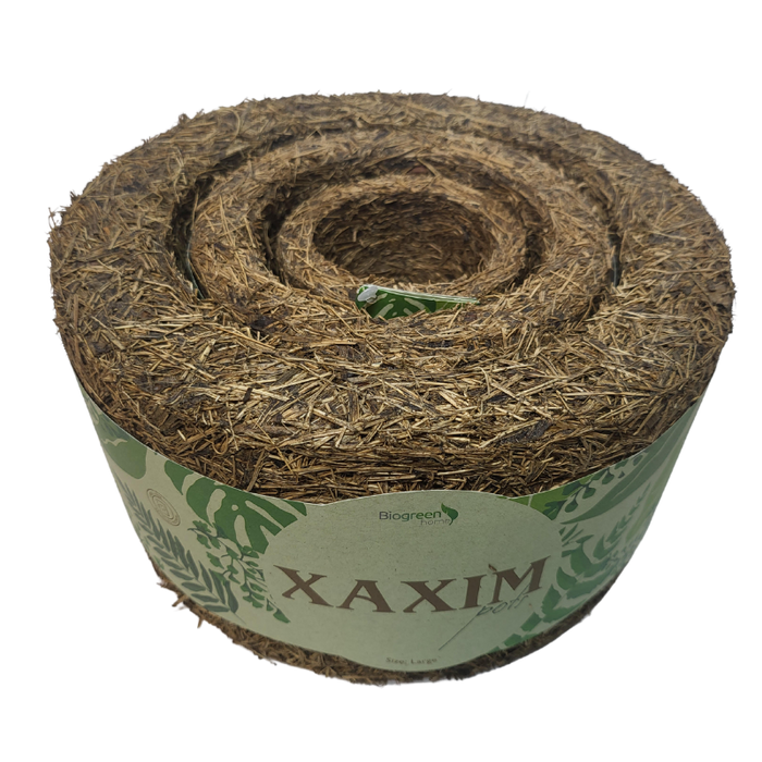 Xaxim Pot