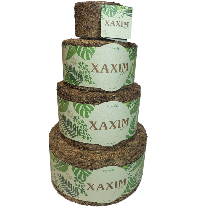 Xaxim Pot