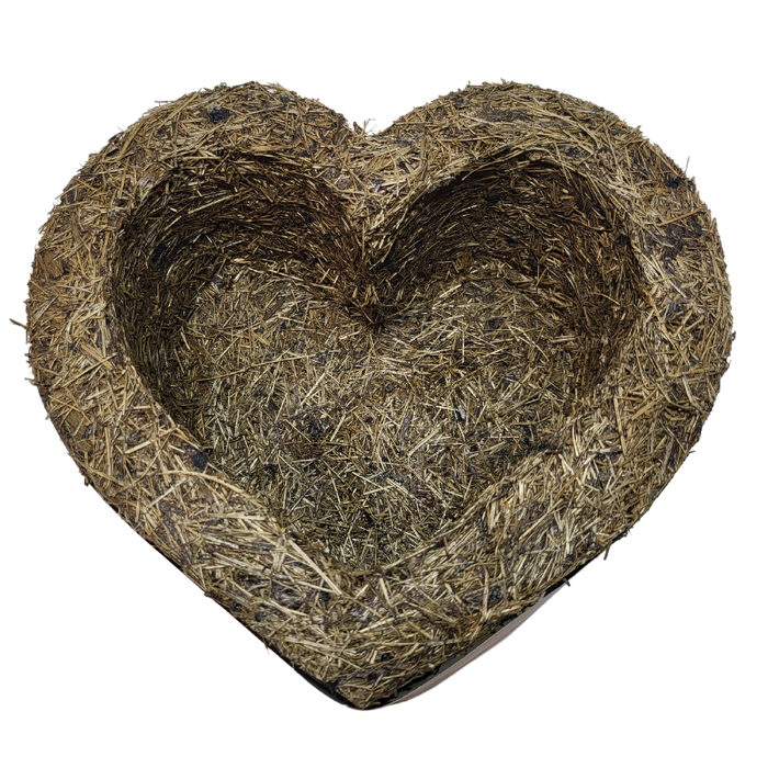Heart Xaxim Pot