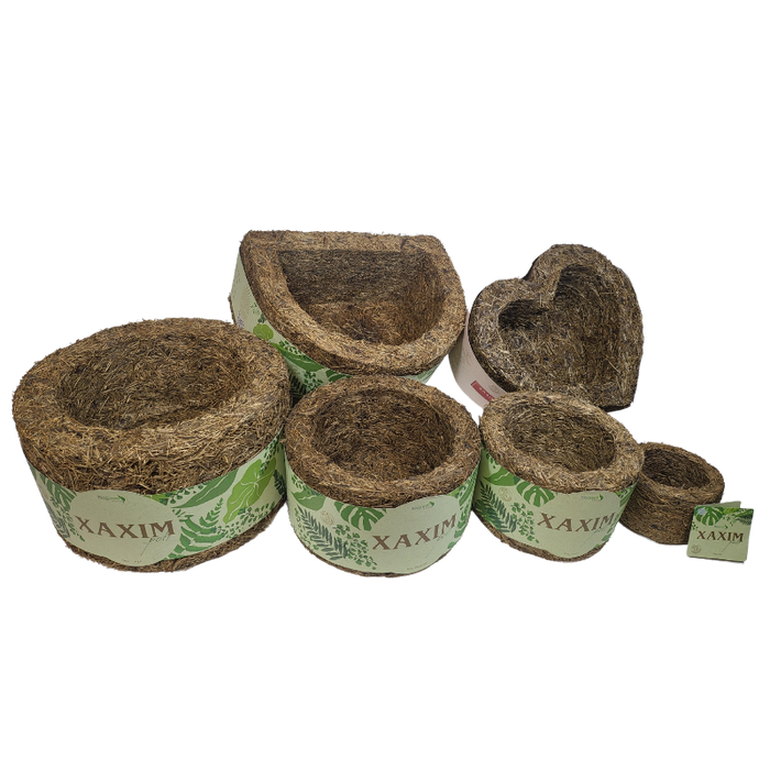 Xaxim Pot