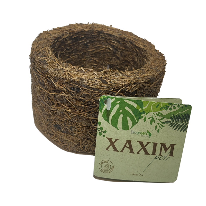 Xaxim Pot