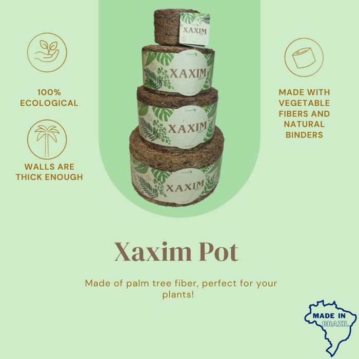 Xaxim Pot