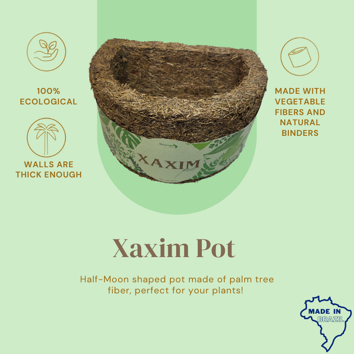 Half-Moon Xaxim Pot