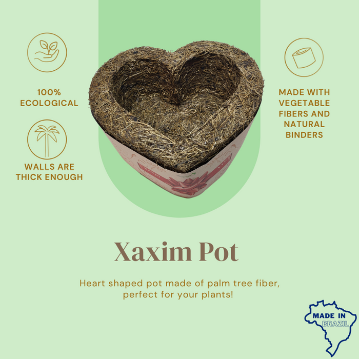 Heart Xaxim Pot